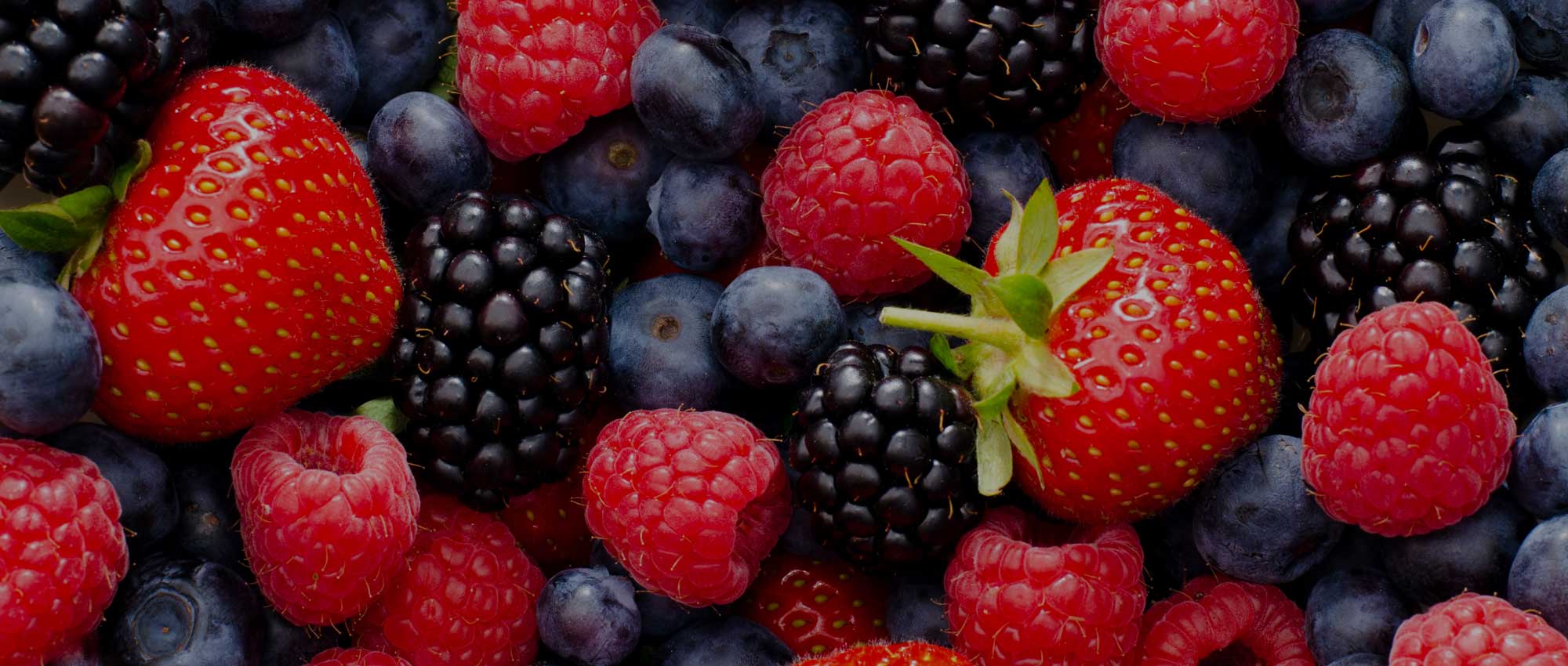 Fruits et légumes: frais et toujours à temps